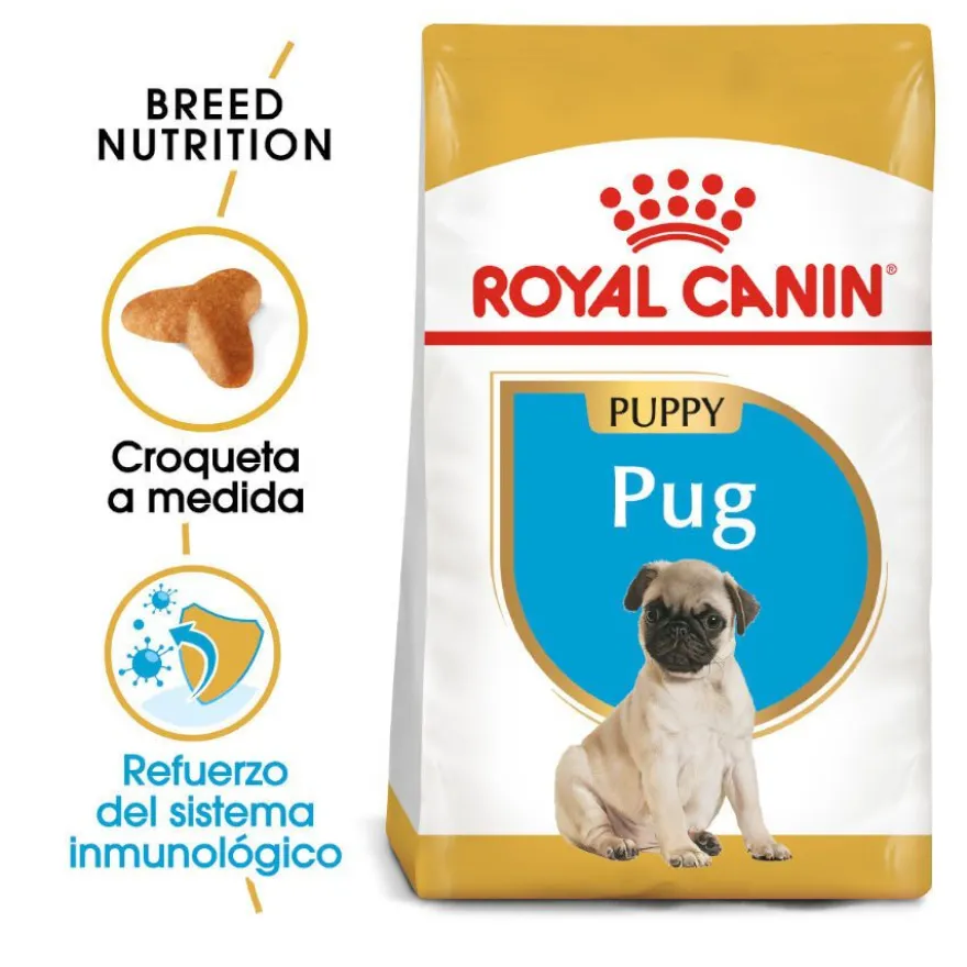 Royal Canin Puppy Pug pienso para perros