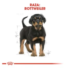 Royal Canin Puppy Rottweiler pienso para perros