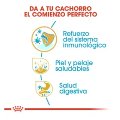 Royal Canin Puppy Shih Tzu pienso para perros