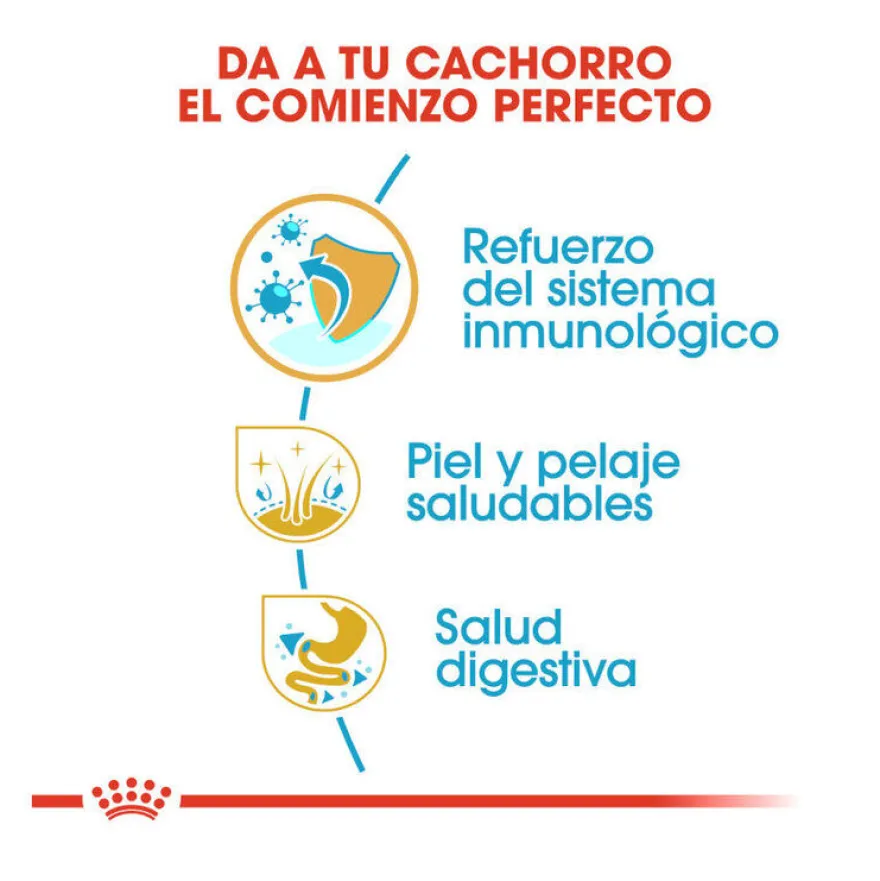Royal Canin Puppy Shih Tzu pienso para perros