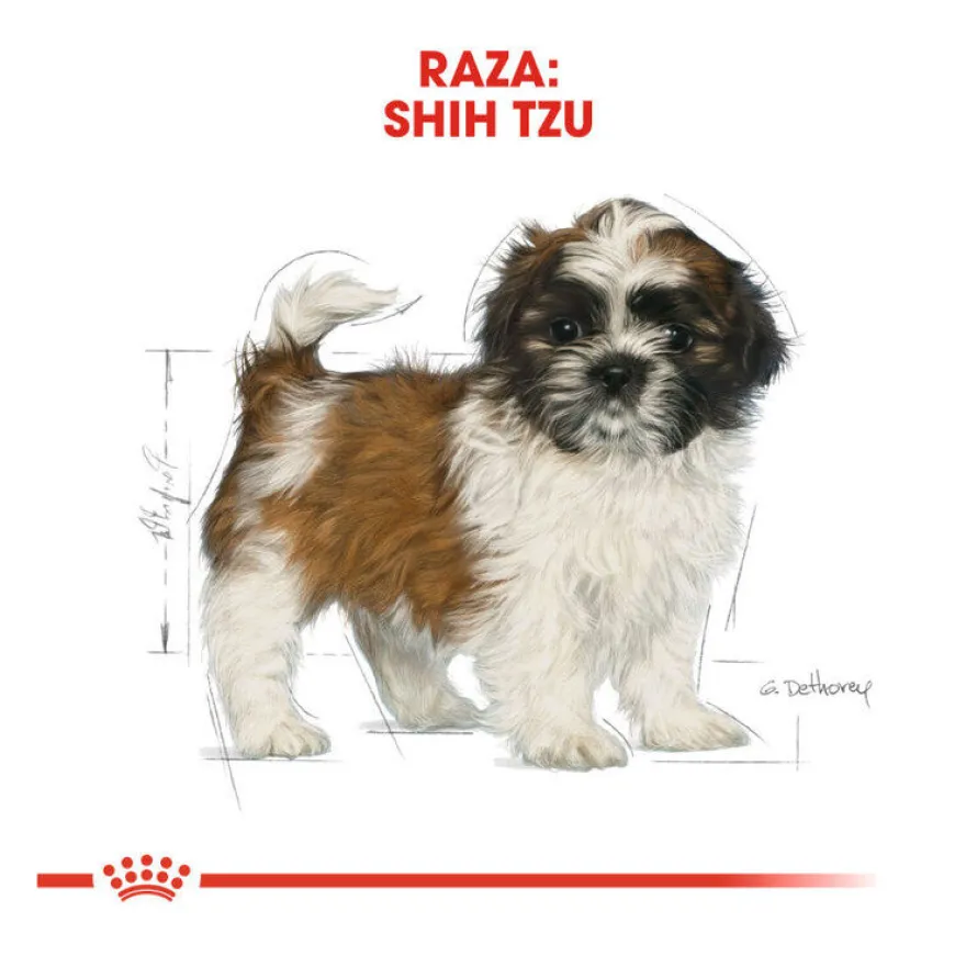 Royal Canin Puppy Shih Tzu pienso para perros
