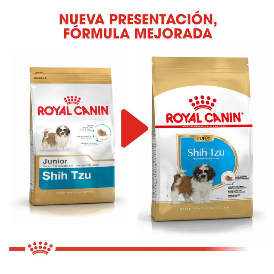 Royal Canin Puppy Shih Tzu pienso para perros