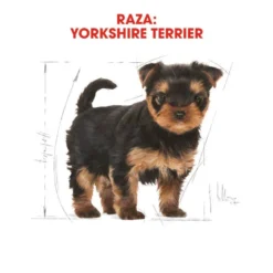 Royal Canin Puppy Yorkshire Terrier pienso para perros