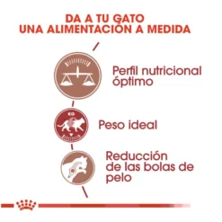 Royal Canin Regular Fit 32 pienso para gatos