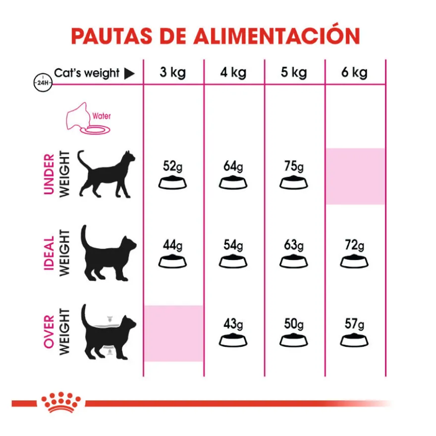 Royal Canin Regular Fit 32 pienso para gatos