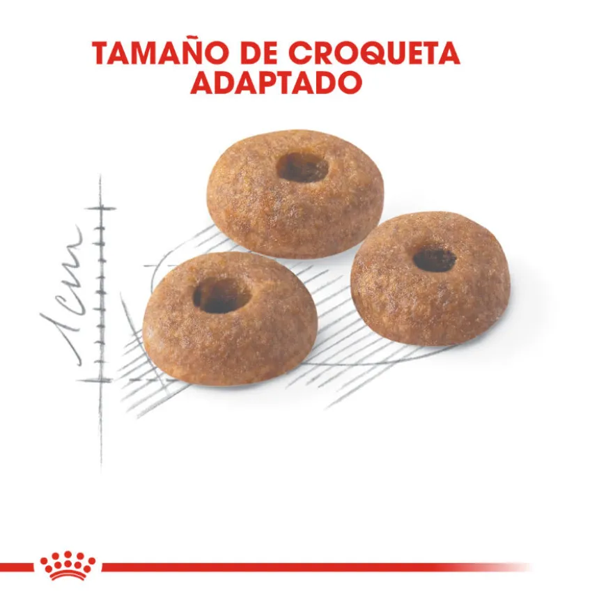 Royal Canin Regular Fit 32 pienso para gatos