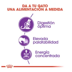 Royal Canin Regular Sensible 33 pienso para gatos