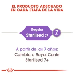 Royal Canin Regular Sterilised 37 pienso para gatos