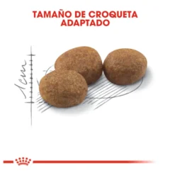 Royal Canin Regular Sterilised 37 pienso para gatos