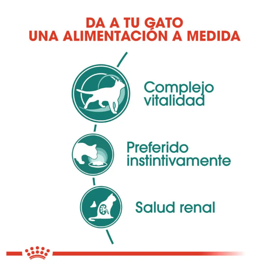 Royal Canin Senior 7+ Instinctive sobres para gatos