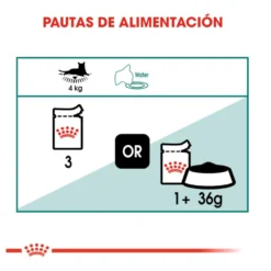 Royal Canin Senior 7+ Instinctive sobres para gatos