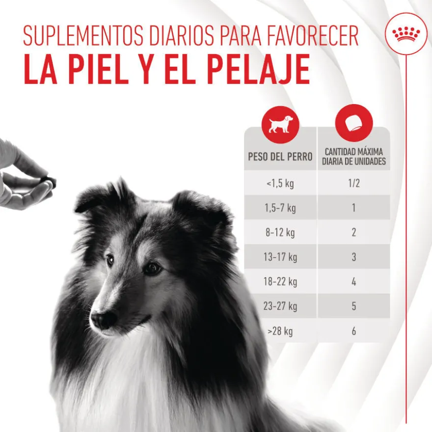 Royal Canin Skin & Coat Chews Adult Suplemento nutricional para perros