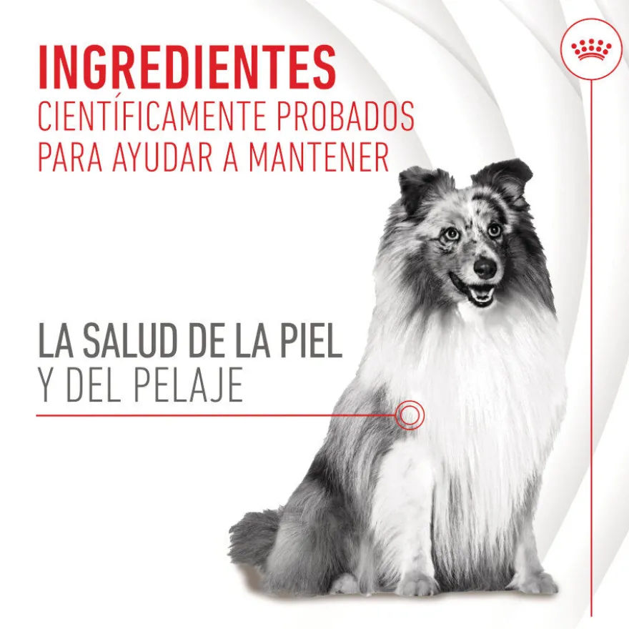 Royal Canin Skin & Coat Chews Adult Suplemento nutricional para perros