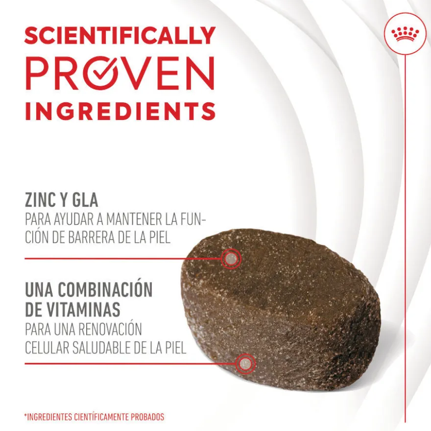 Royal Canin Skin & Coat Chews Adult Suplemento nutricional para perros