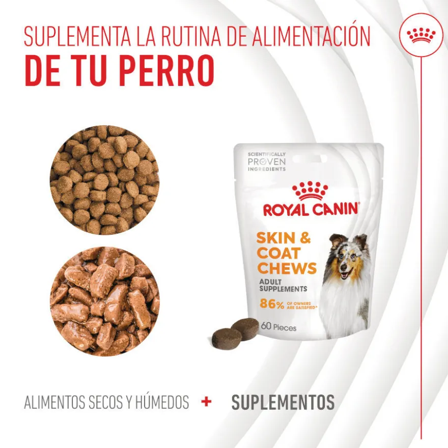 Royal Canin Skin & Coat Chews Adult Suplemento nutricional para perros