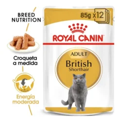 Royal Canin Sobre en Salsa British Shorthair Adult