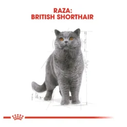 Royal Canin Sobre en Salsa British Shorthair Adult