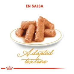 Royal Canin Sobre en Salsa British Shorthair Adult