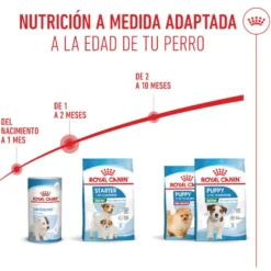 Royal Canin Starter MotheryBaby Mini pienso para perros
