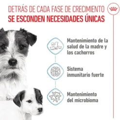 Royal Canin Starter MotheryBaby Mini pienso para perros