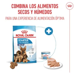 Royal Canin Starter MotheryBaby Maxi pienso para perros