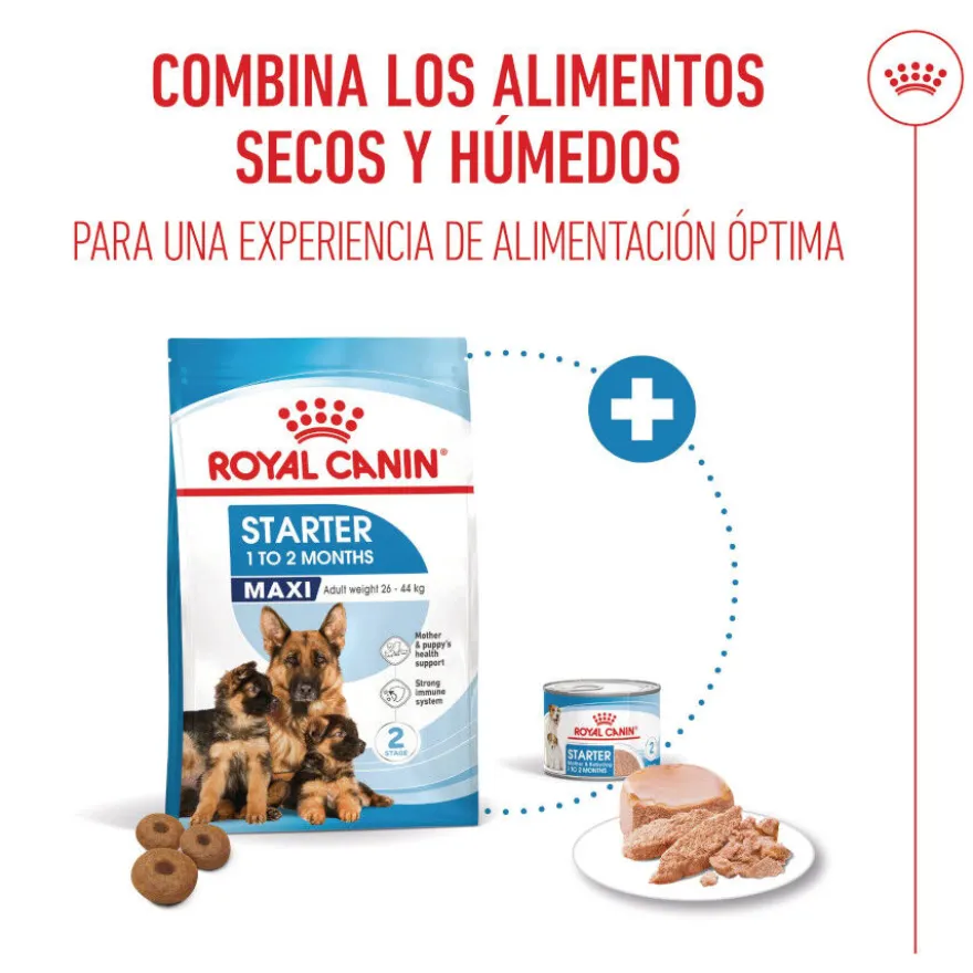 Royal Canin Starter MotheryBaby Maxi pienso para perros