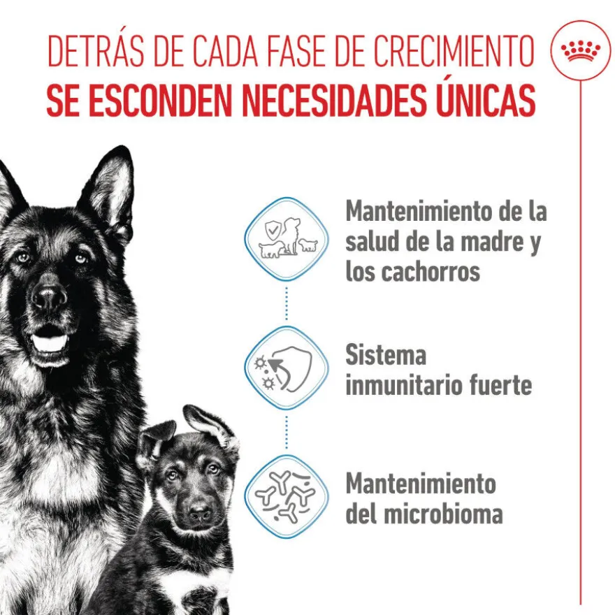 Royal Canin Starter MotheryBaby Maxi pienso para perros