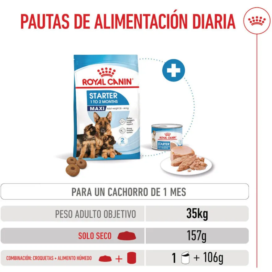 Royal Canin Starter MotheryBaby Maxi pienso para perros