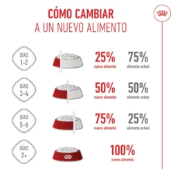 Royal Canin Starter MotheryBaby Maxi pienso para perros
