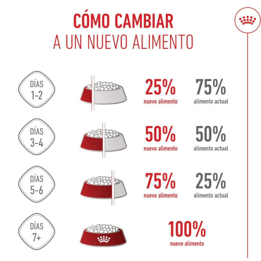 Royal Canin Starter MotheryBaby Maxi pienso para perros
