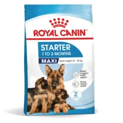 Royal Canin Starter MotheryBaby Maxi pienso para perros