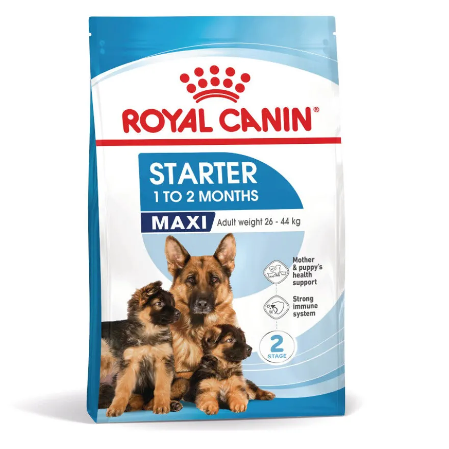 Royal Canin Starter MotheryBaby Maxi pienso para perros