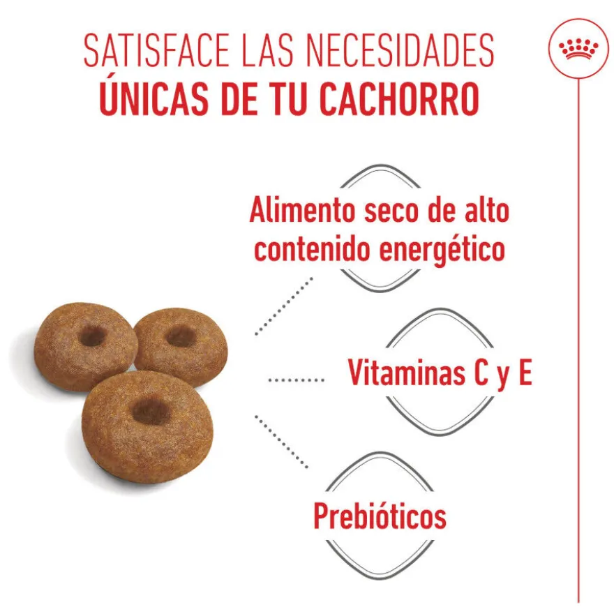 Royal Canin Starter MotheryBaby Maxi pienso para perros