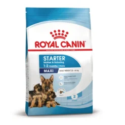 Royal Canin Starter MotheryBaby Maxi pienso para perros