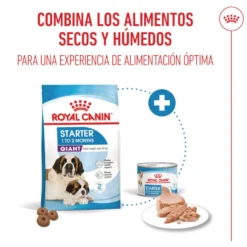 Royal Canin Starter Puppy Giant Pienso para perros