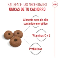 Royal Canin Starter Puppy Giant Pienso para perros