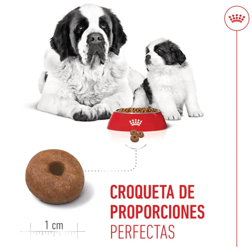 Royal Canin Starter Puppy Giant Pienso para perros