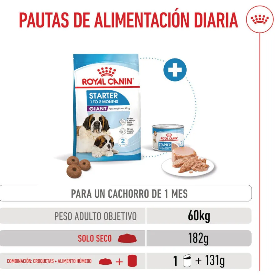 Royal Canin Starter Puppy Giant Pienso para perros