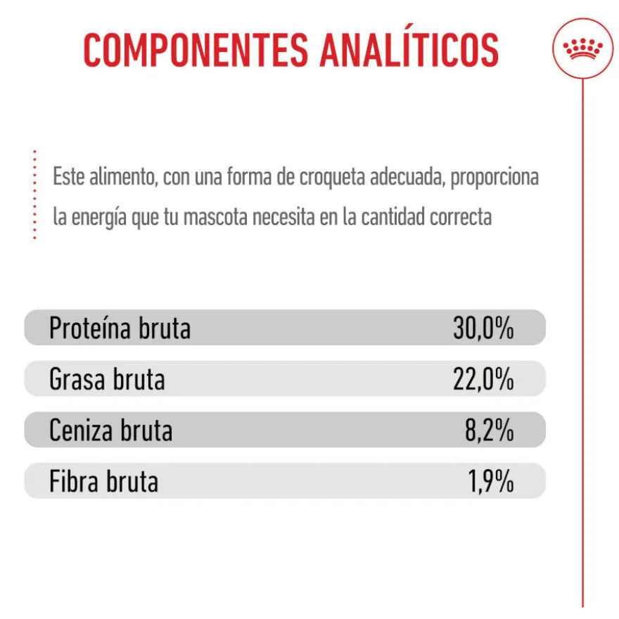 Royal Canin Starter Puppy Giant Pienso para perros