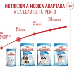 Royal Canin Starter Puppy Giant Pienso para perros