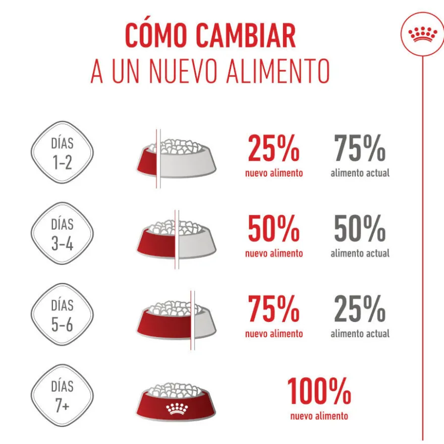 Royal Canin Starter Puppy Giant Pienso para perros