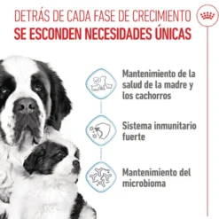 Royal Canin Starter Puppy Giant Pienso para perros