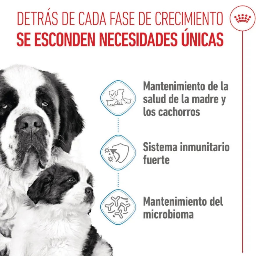 Royal Canin Starter Puppy Giant Pienso para perros