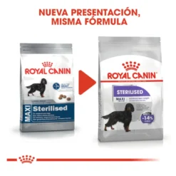 Royal Canin Sterilised Maxi pienso para perros
