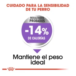Royal Canin Sterilised Maxi pienso para perros