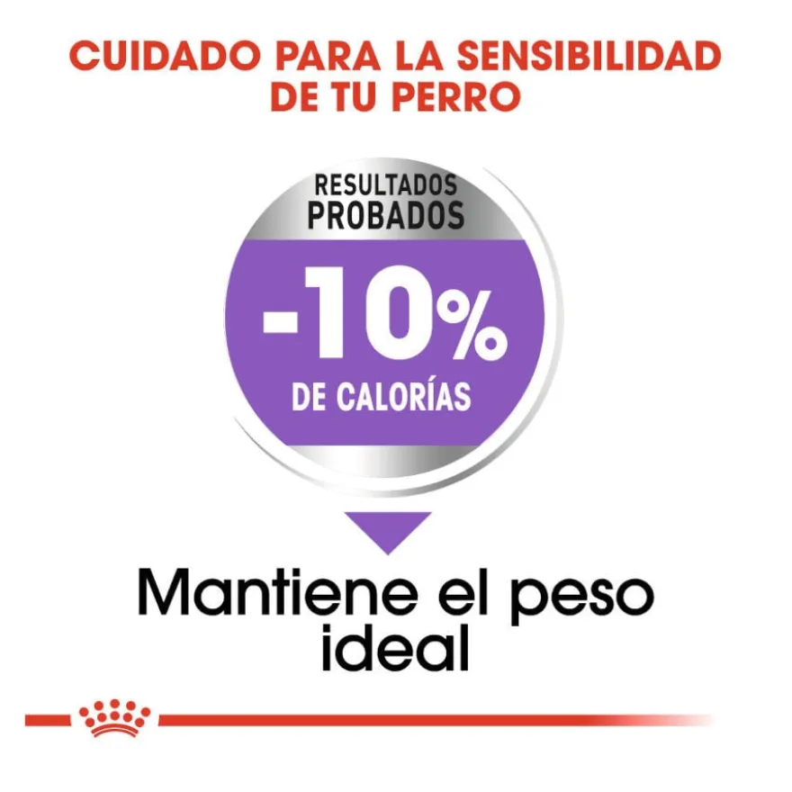 Royal Canin Sterilised Medium pienso para perros