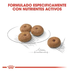 Royal Canin Sterilised Mini pienso para perros