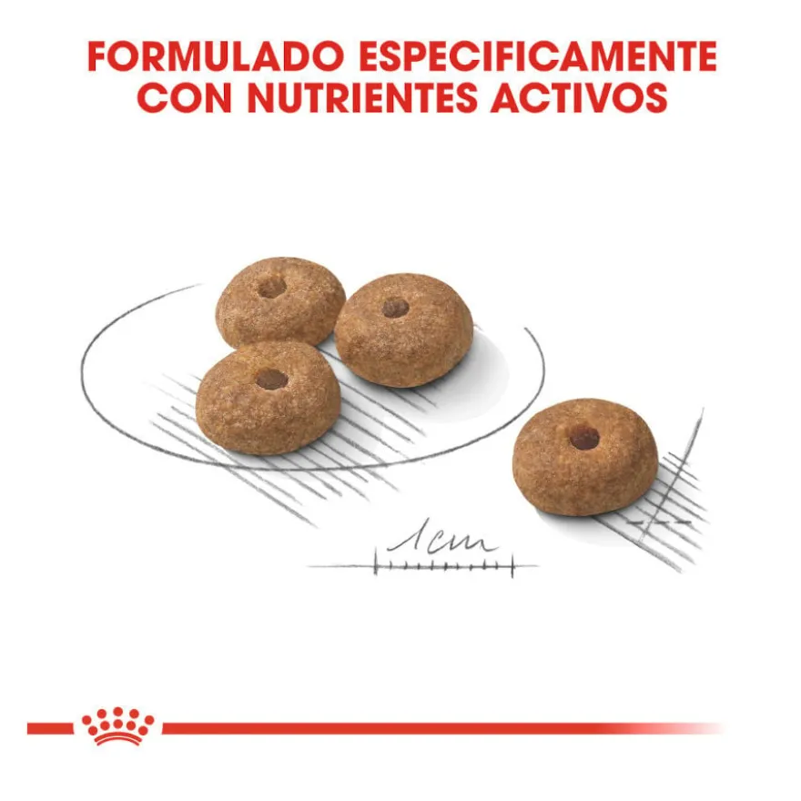 Royal Canin Sterilised Mini pienso para perros
