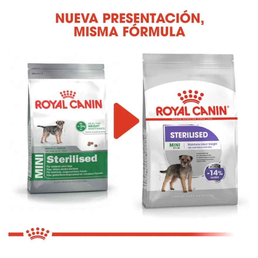 Royal Canin Sterilised Mini pienso para perros