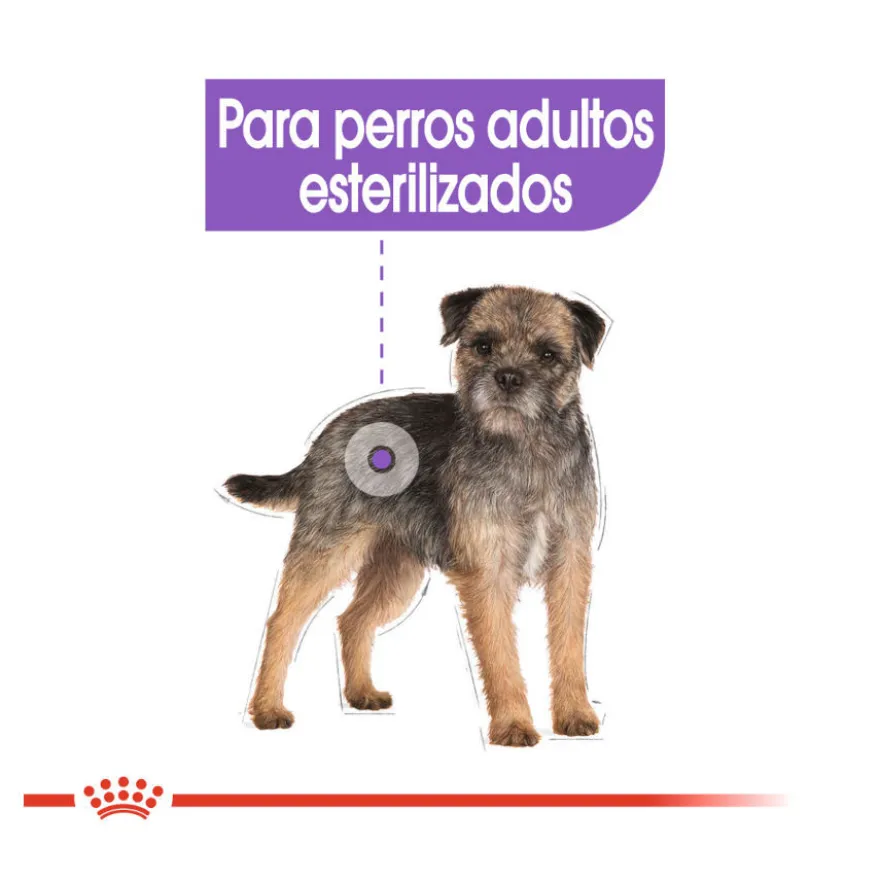 Royal Canin Sterilised Sobres Paté para perros